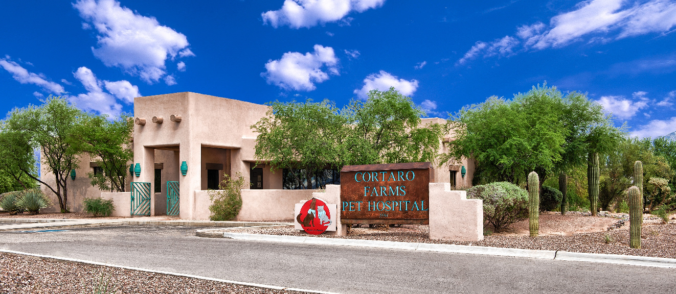 Cortaro Farms Pet Hospital - Tucson , United States