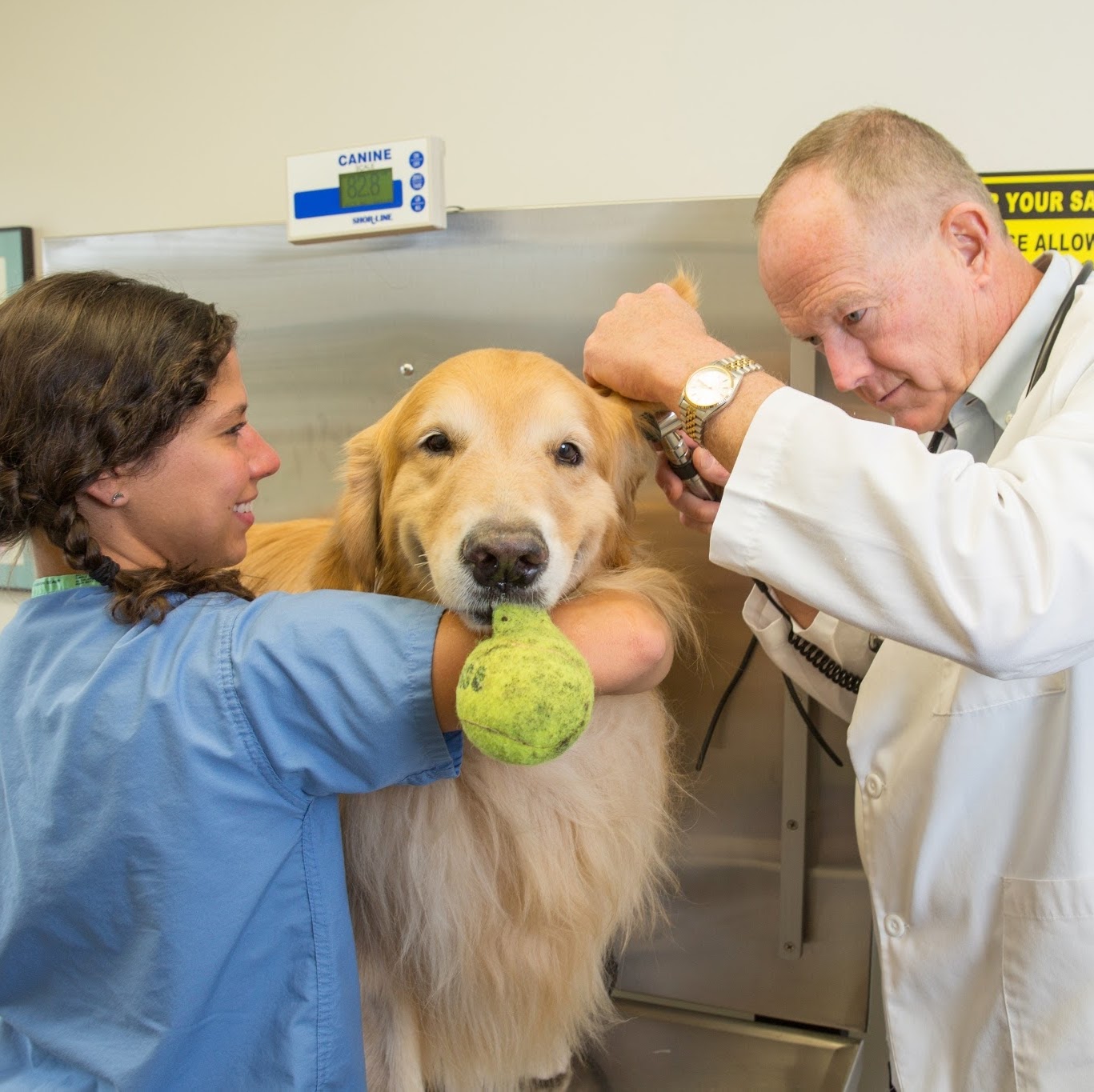 Newport Animal Hospital - Middletown , United States
