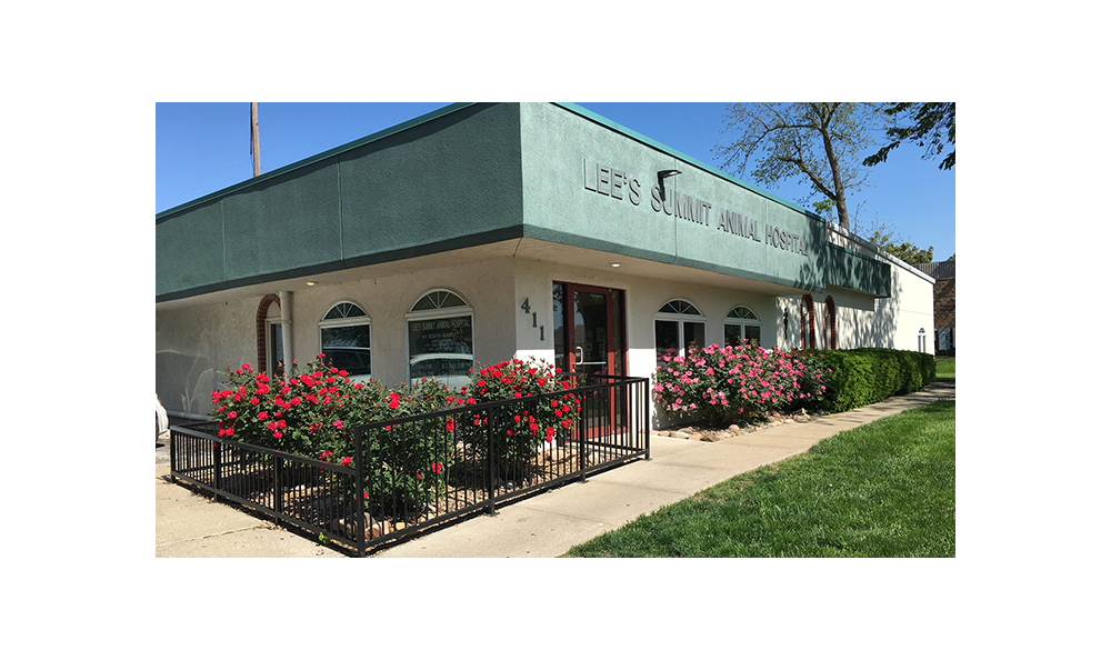 Lees Summit Animal Hospital - Lee's Summit , United States