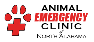 Animal Emergency Clinic - Huntsville , United States