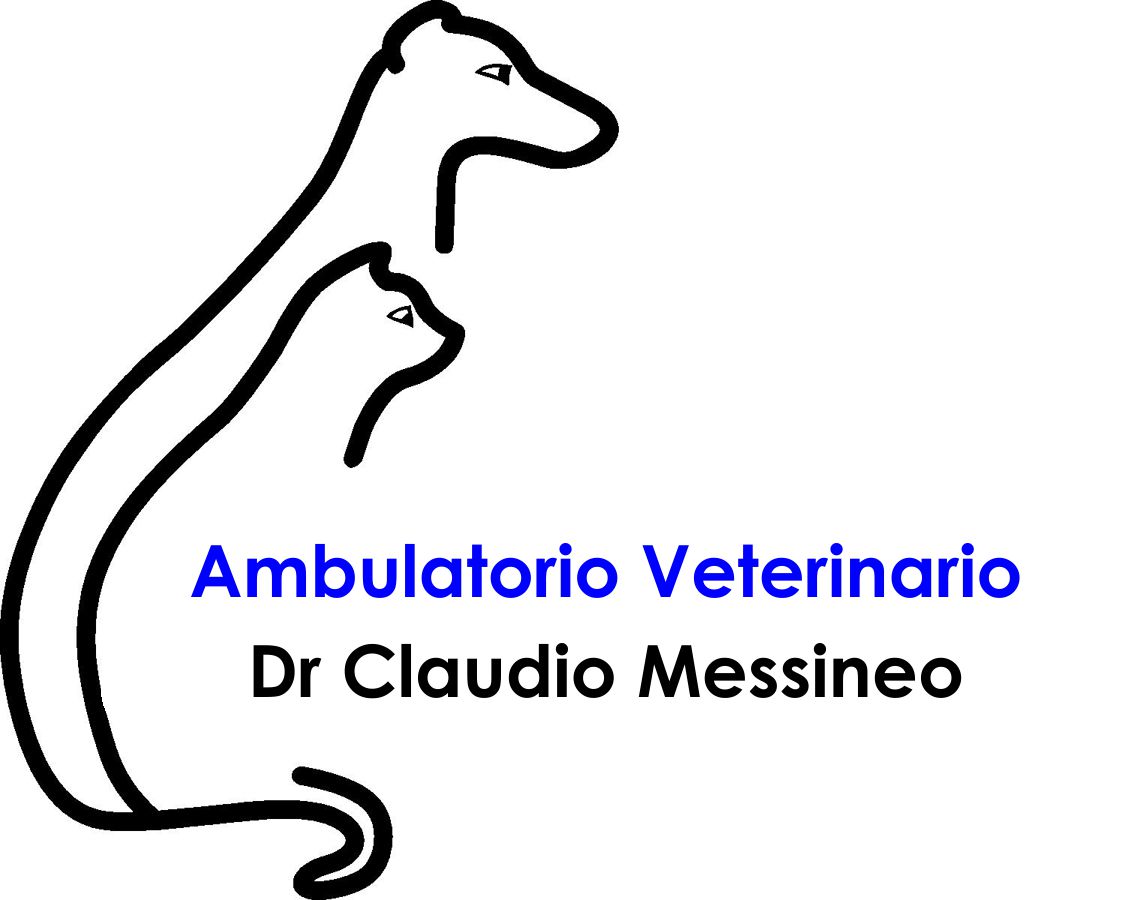 Ambulatorio Veterinario Dr Claudio Messineo - Campofelice di Roccella , Italy
