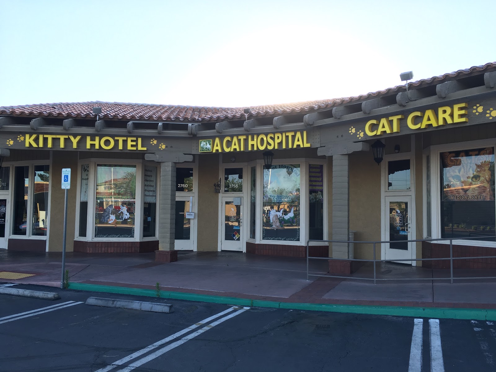 A Cat Hospital - Henderson , United States