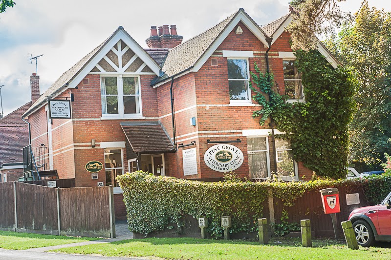 Medivet Crowthorne Kynoch Vets - Crowthorne , United Kingdom