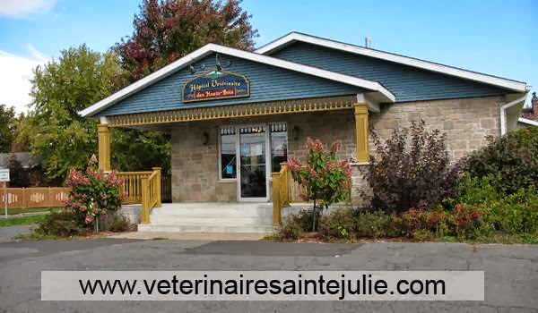 Hôpital Vétérinaire Victoria Ste Julie Vet Et Nous - Sainte-Julie , Canada