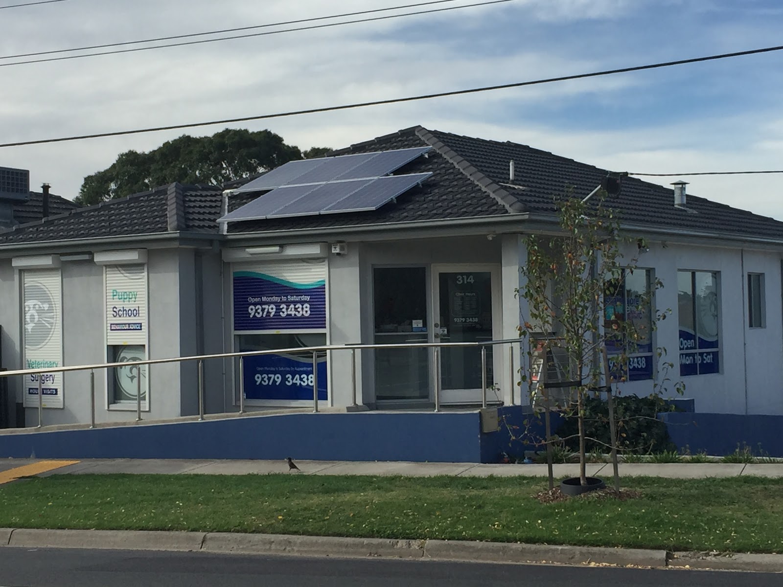 Strathmore Veterinary Clinic - Strathmore , Australia