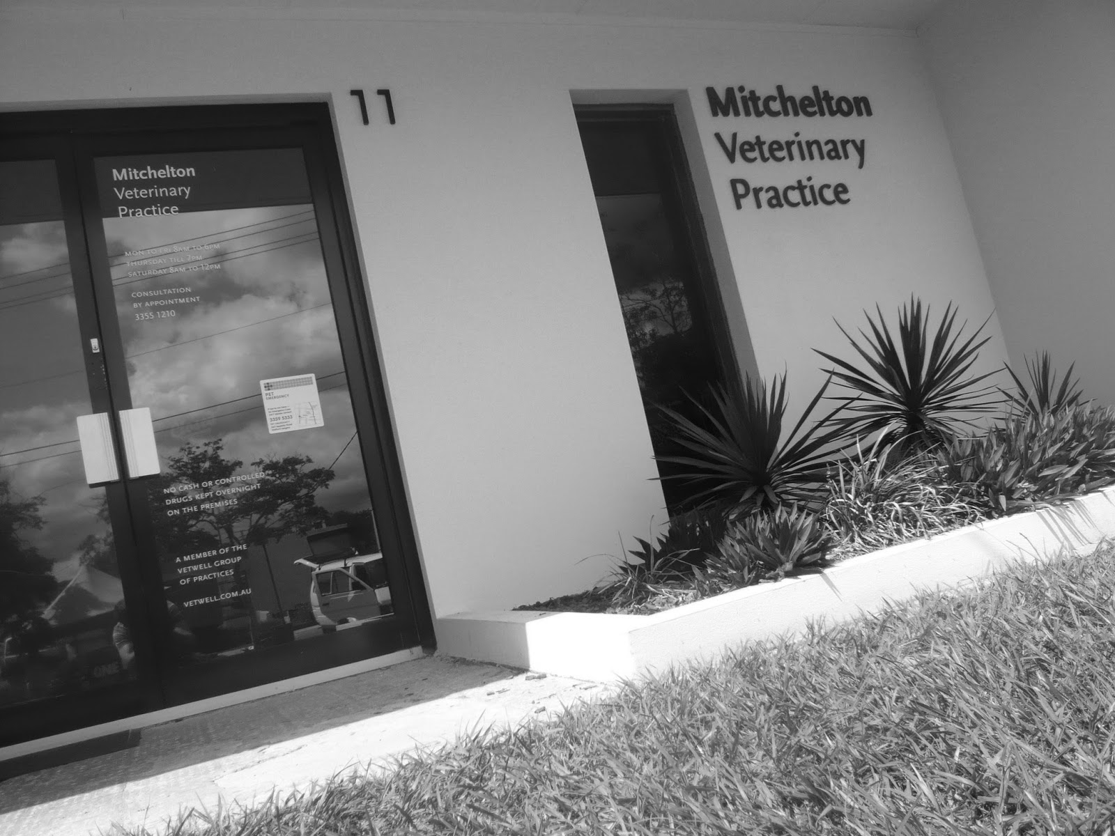Mitchelton Veterinary Practice - Mitchelton , Australia