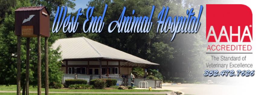 West End Animal Hospital - Newberry , United States