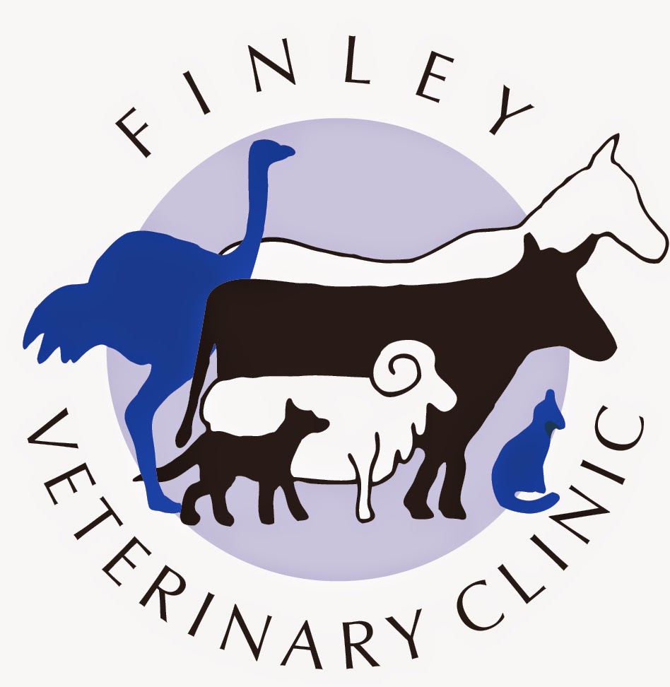 Finley Veterinary Clinic - Finley , Australia