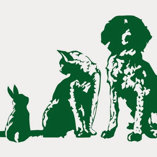 Spa Vets - Gloucester , United Kingdom