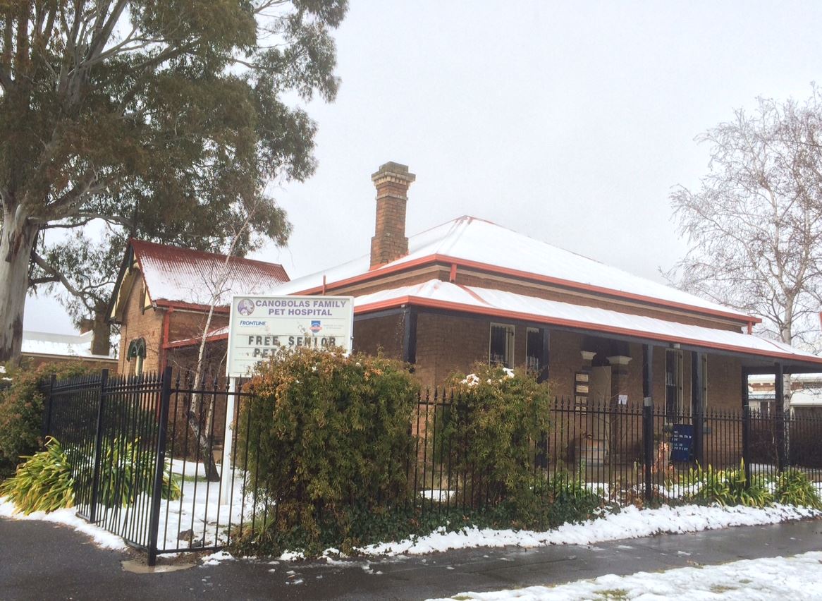 Canobolas Family Pet Hospital - Orange , Australia