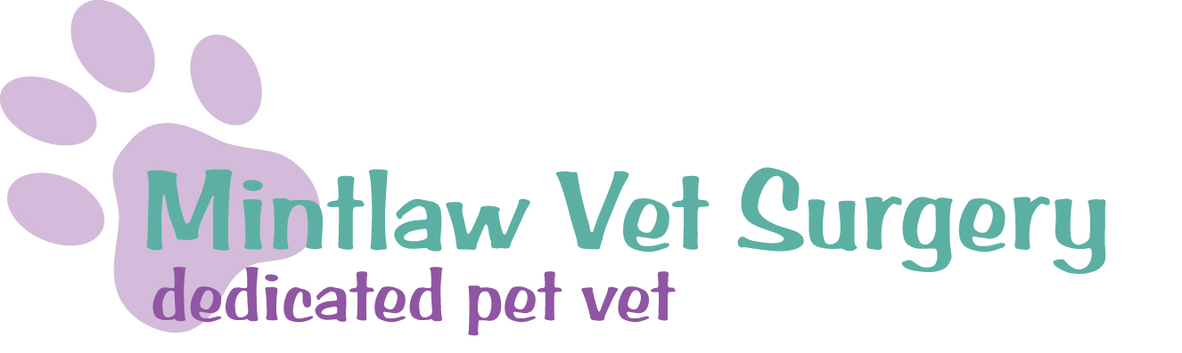 Mintlaw Vet Surgery - Peterhead , United Kingdom