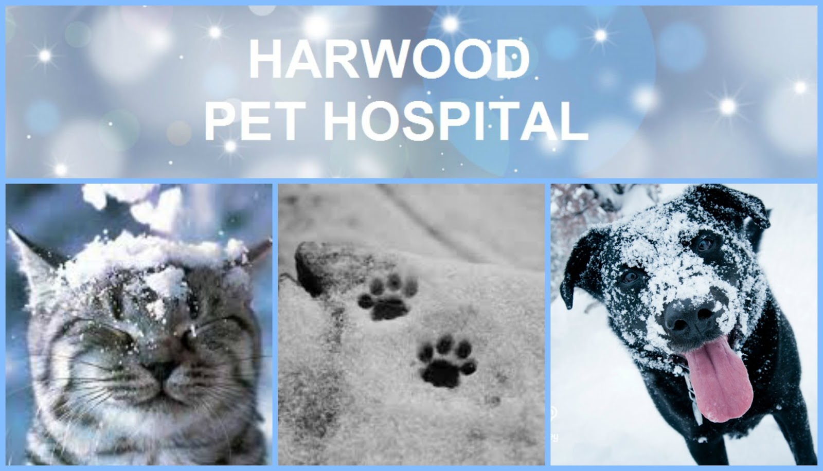 Harwood Pet Hospital - Ajax , Canada