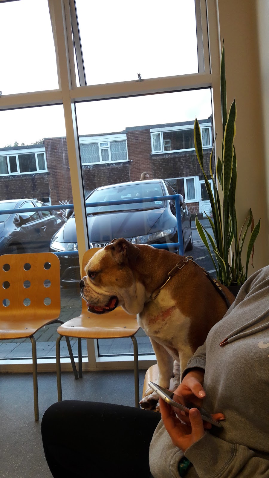 Peak Vets Sheffield - Sheffield , United Kingdom