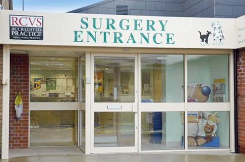 Gourley Veterinary Surgeons - Manchester , United Kingdom
