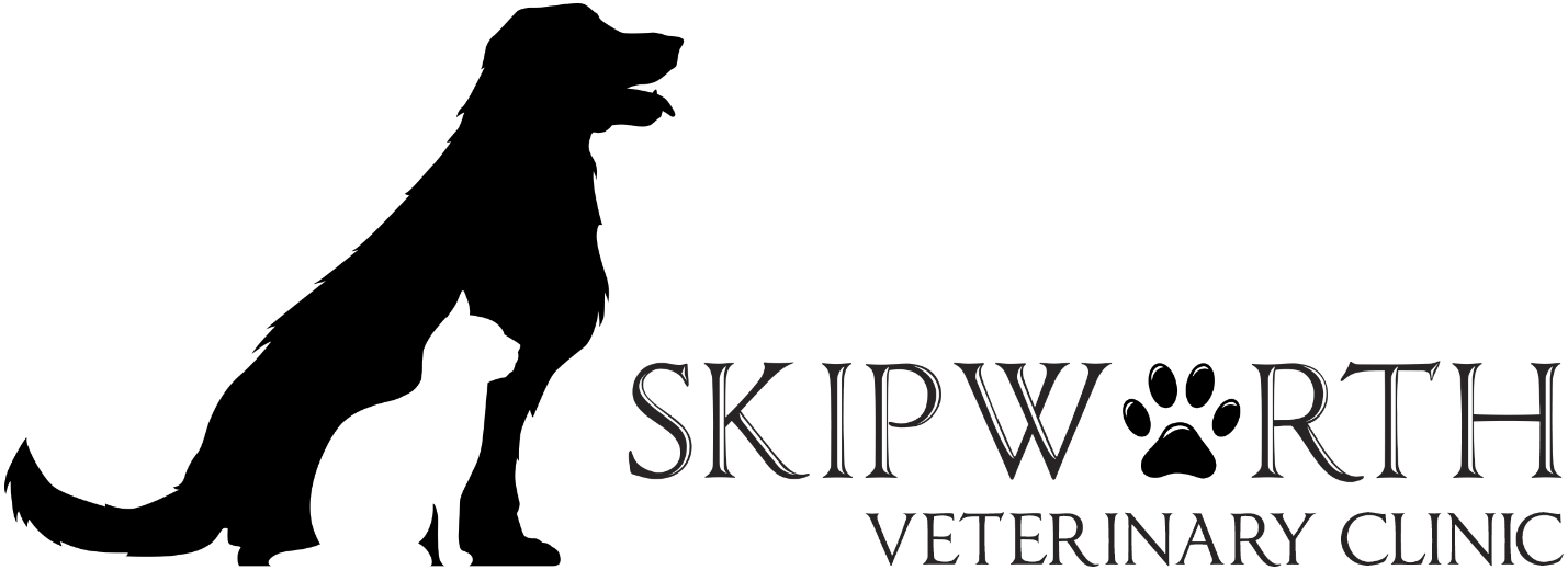 Skipworth Veterinary Clinic - Richmond , United States
