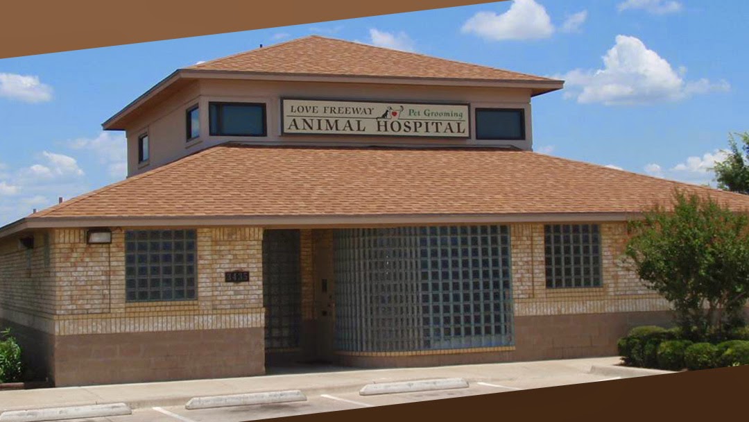 Love Freeway Animal Clinic - Dallas , United States