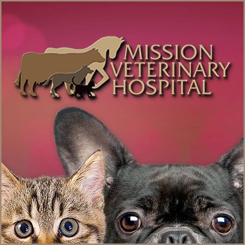 Mission Veterinary Hospital - Mission , United States