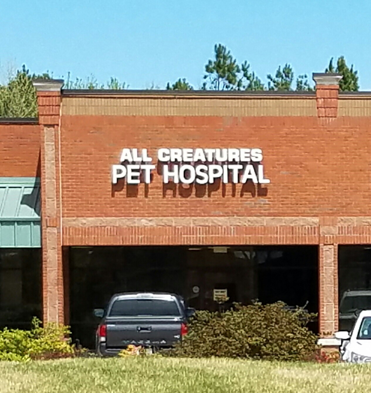 All Creatures Pet Hospital - Collierville , United States