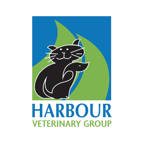 Harbour Veterinary Hospital - Portsmouth , United Kingdom