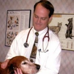 Alamo Heights Pet Clinic - San Antonio , United States