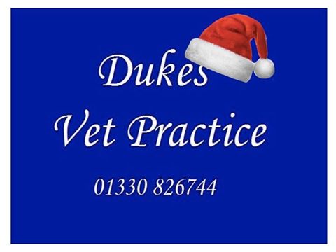 Dukes Veterinary Practice - Aboyne , United Kingdom