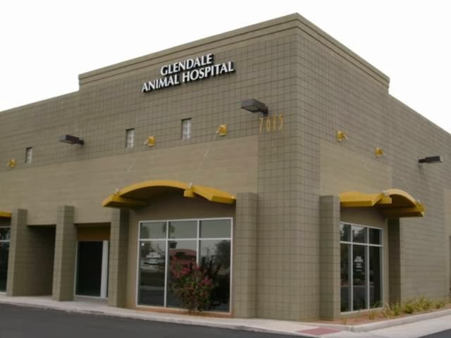 Glendale Animal Hospital - Glendale , United States
