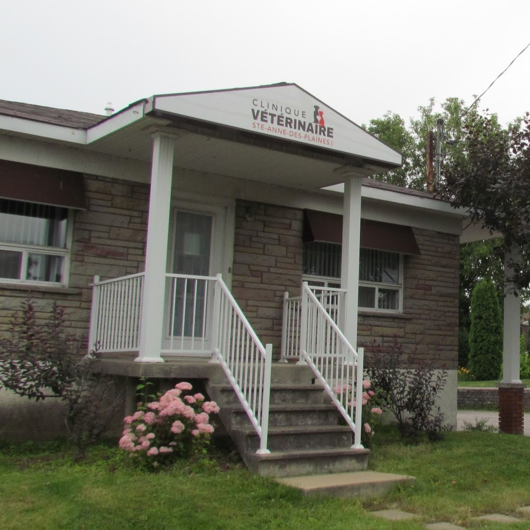 Clinique Vétérinaire Ste Anne Des Plaines - Sainte-Anne-des-Plaines , Canada