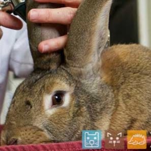 Wayland Animal Clinic - Wayland , United States
