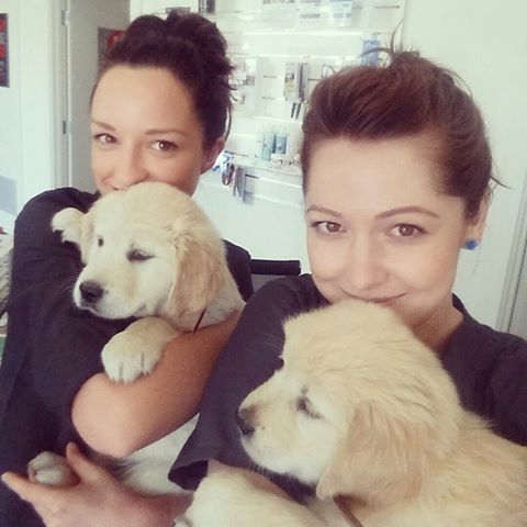 Vets First: Riverport Veterinary Hospital - Goolwa , Australia