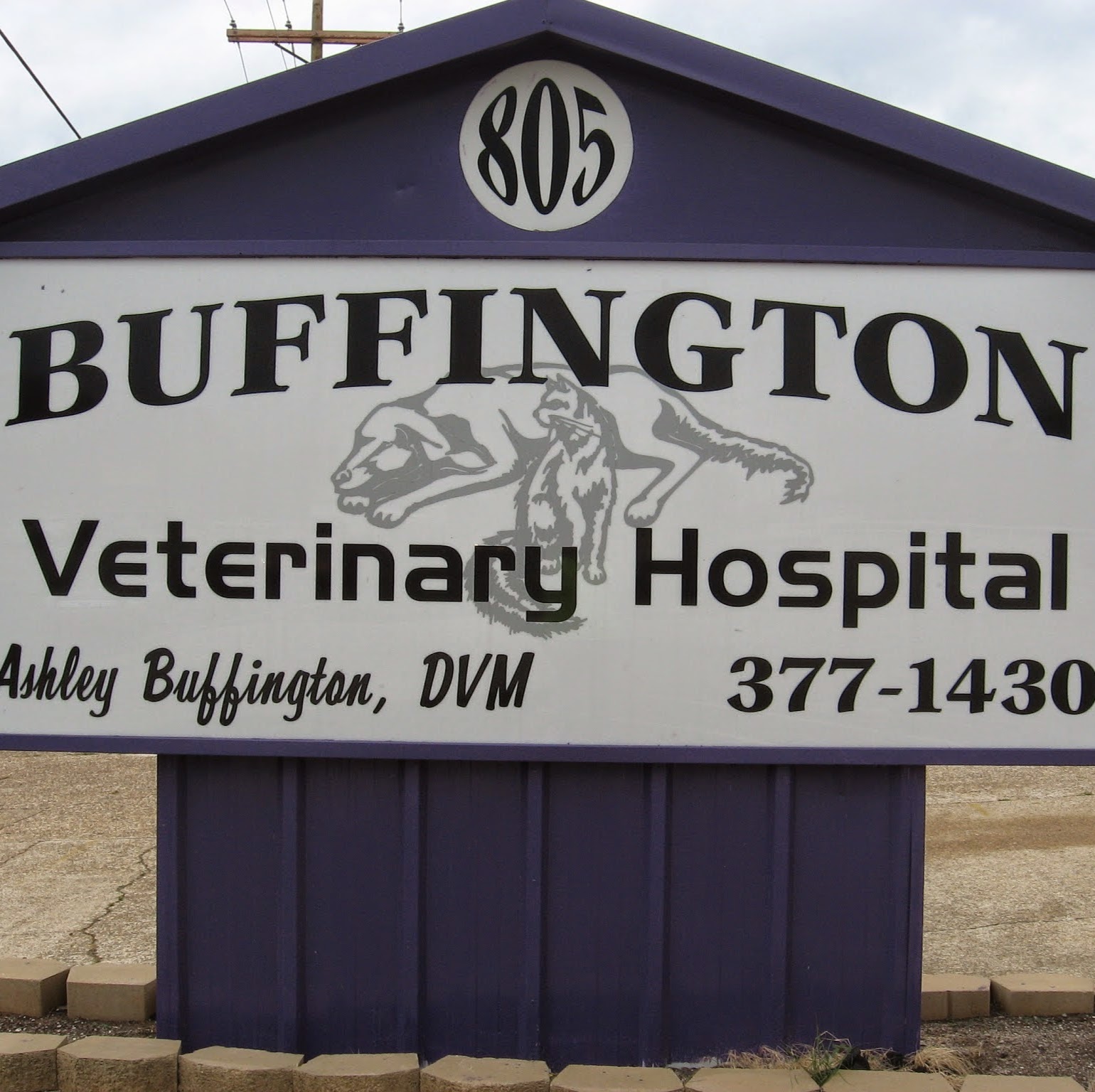 Buffington Veterinary Hospital - Minden , United States