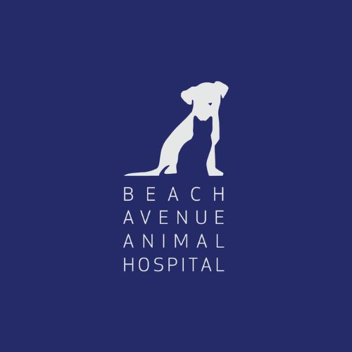 Beach Avenue Animal Hospital Vancouver - Vancouver , Canada