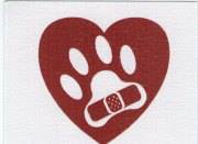Lucas Veterinary Hospital - Allen , United States