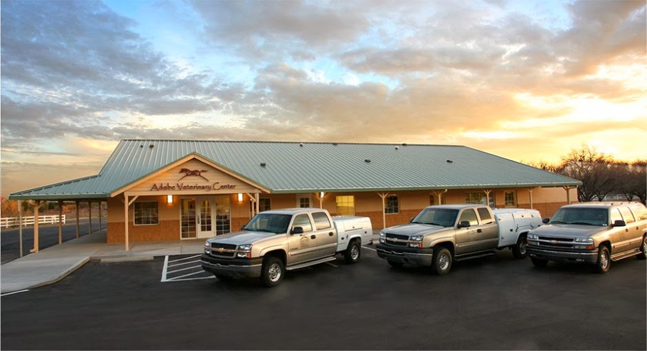 Adobe Veterinary Center - Tucson , United States