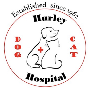 Hurley Dog And Cat Hospital - Detroit , United States