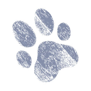 Upper Heights Veterinary Clinic - Huber Heights , United States