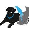 Middle Road Veterinary Hospital - Greenbank , Australia