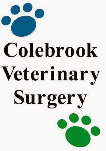 Colebrook Veterinary Surgery - Solihull , United Kingdom