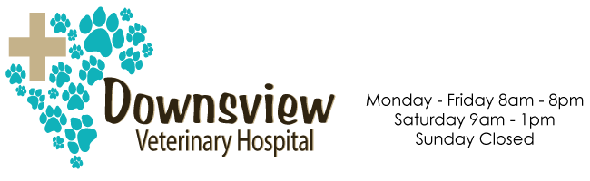 Downsview Veterinary Hospital - Lower Sackville , Canada
