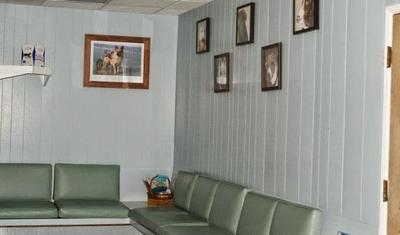 Business's Photo