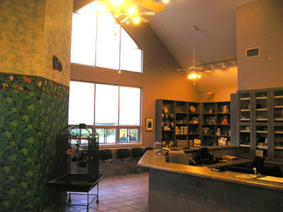 Business's Photo