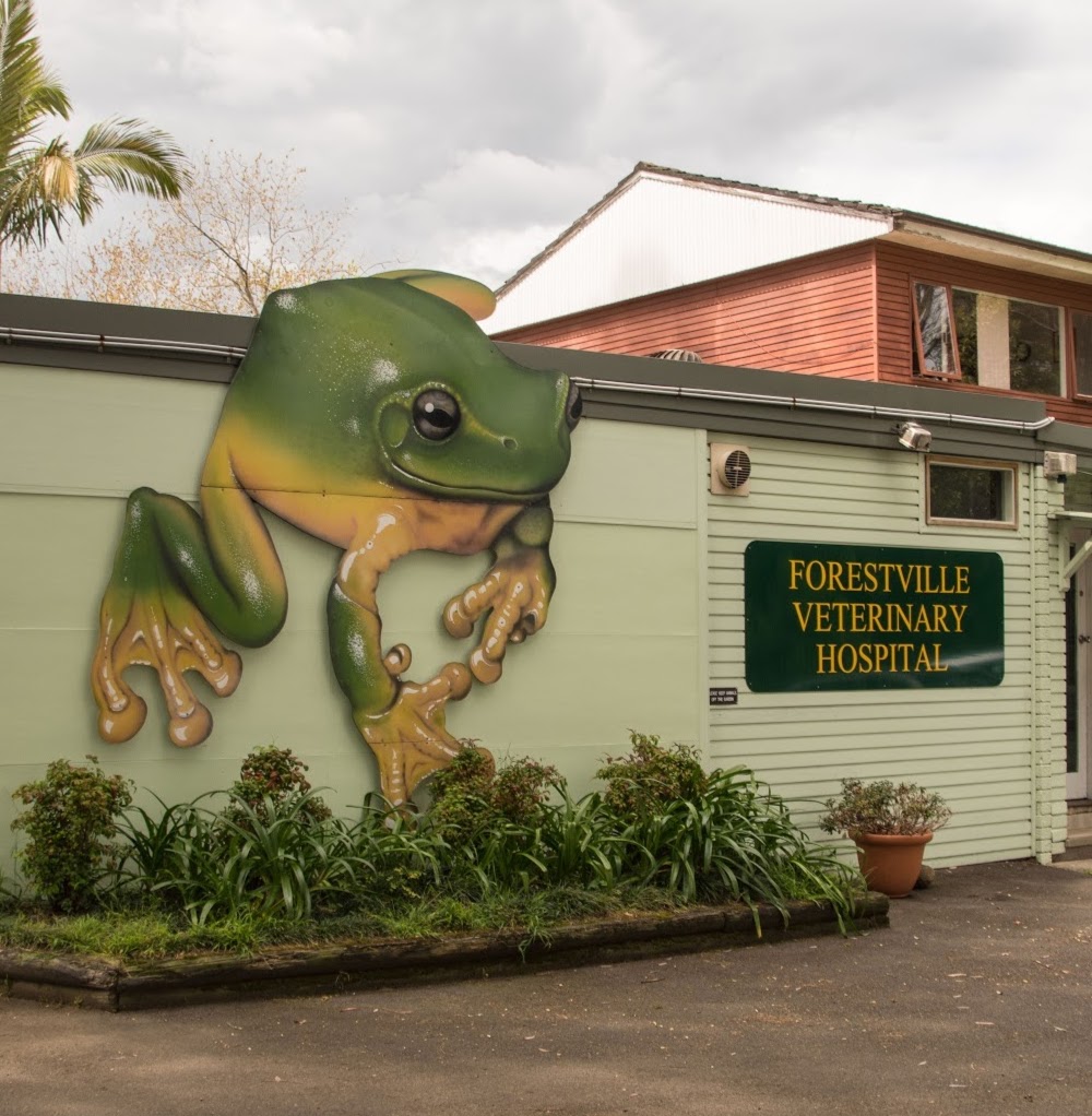Forestville Veterinary Hospital - Forestville , Australia