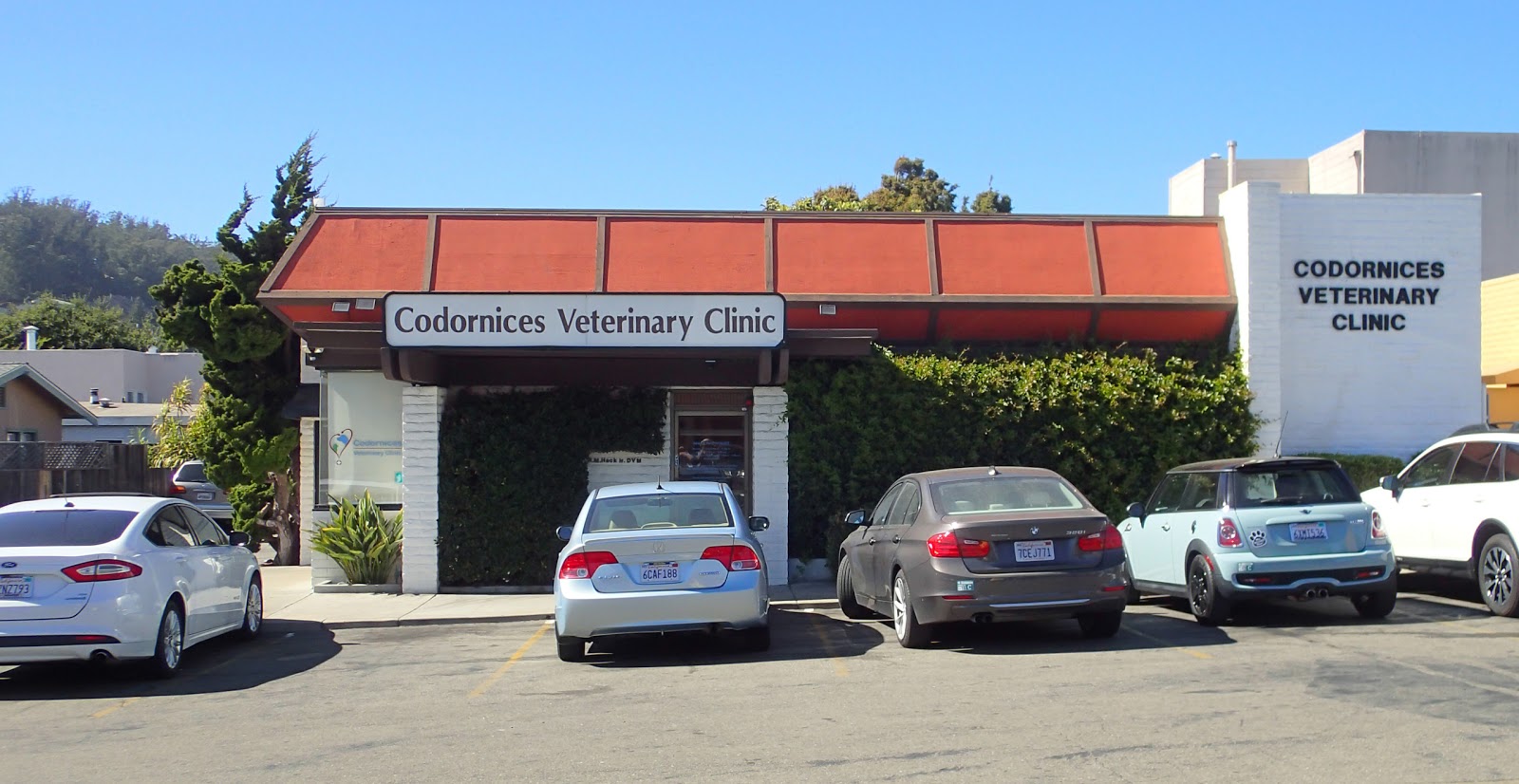 Codornices Veterinary Clinic - Albany , United States
