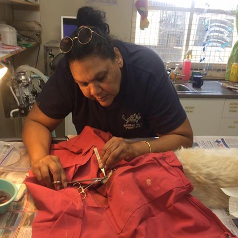 Barkly Veterinary Practice - Tennant Creek , Australia