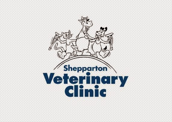 Kialla Veterinary Clinic - Kialla , Australia