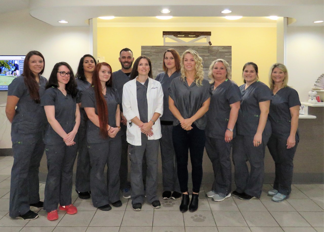Bridge City Animal Hospital - Bridge City , United States