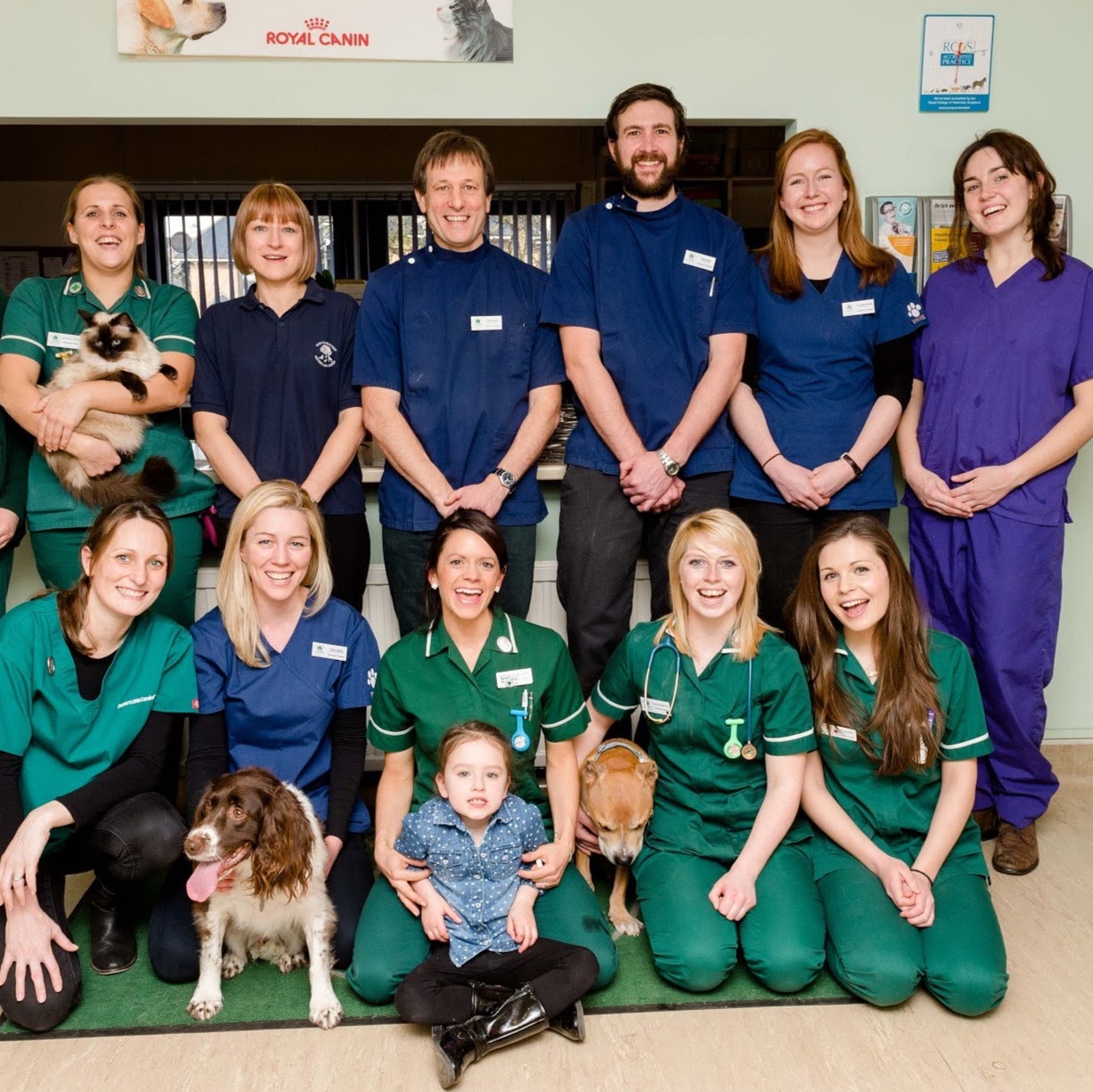 Chestnut Vets - Ware , United Kingdom