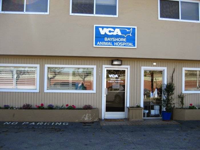 Vca bayshore cheap