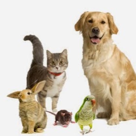 Cedarburg Veterinary Clinic - Cedarburg , United States