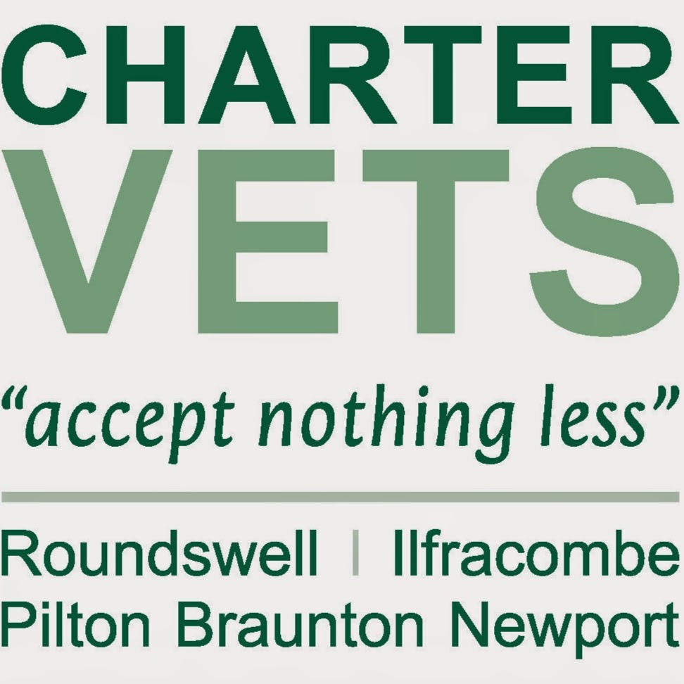 Charter Vets Mullacott Veterinary Practice Ilfracombe - Ilfracombe , United Kingdom