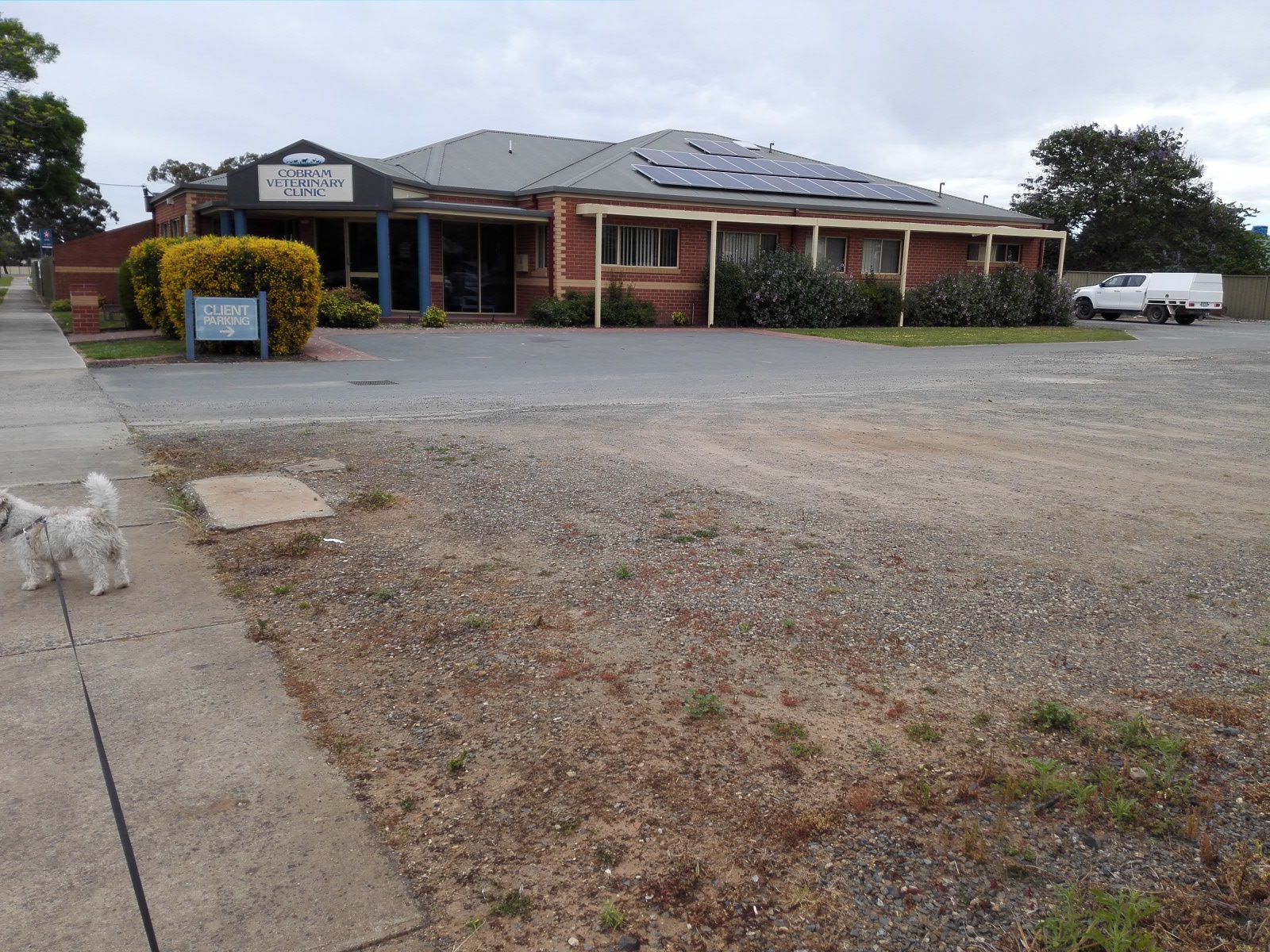 Cobram Veterinary Clinic - Cobram , Australia